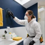 mold removal